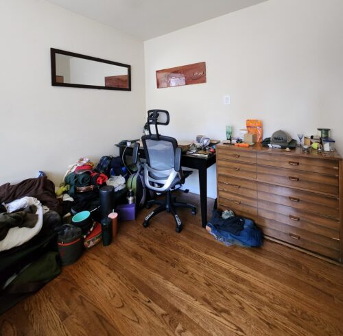 1504 N Dearborn Parkway #306, Chicago, IL