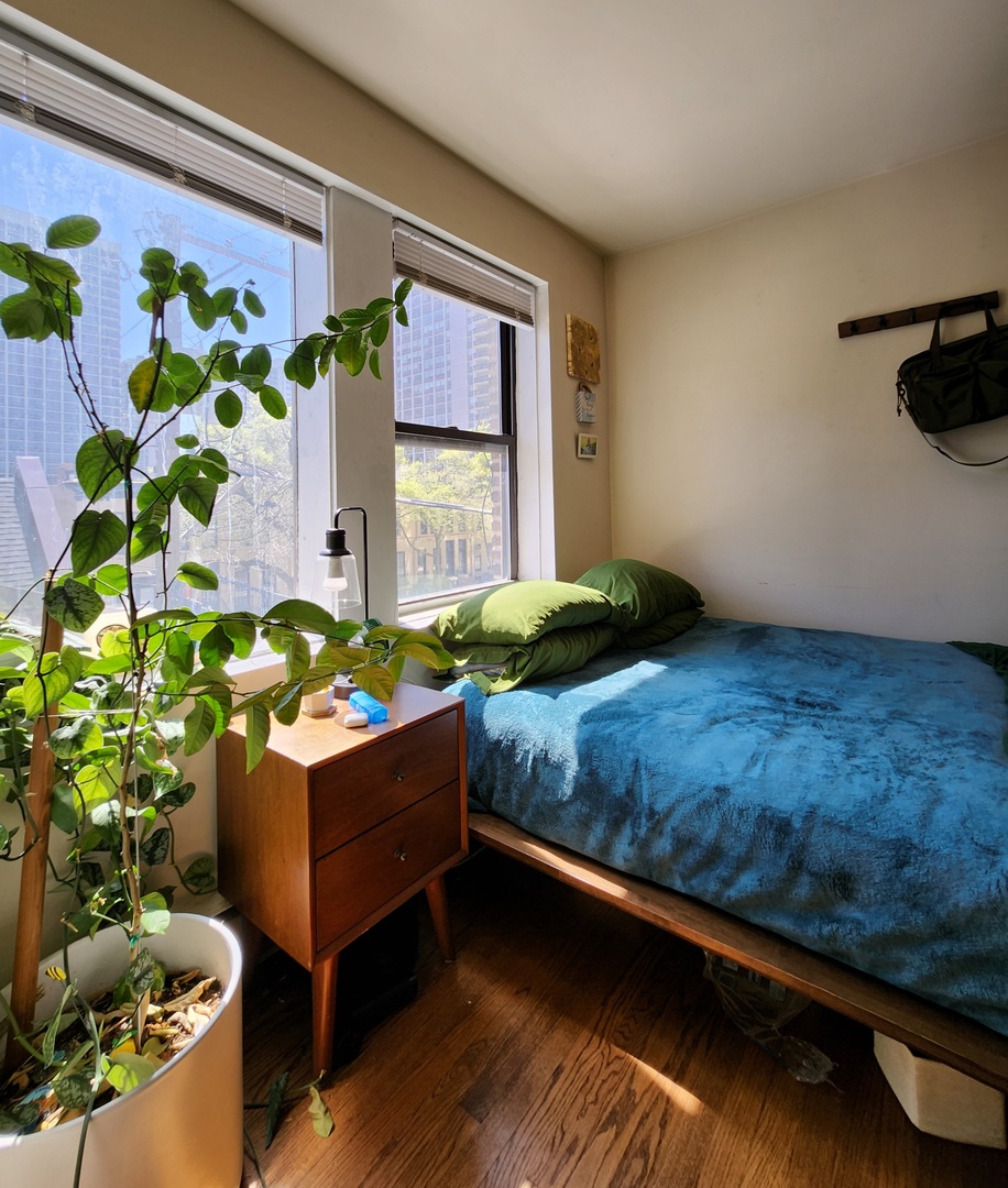 1504 N Dearborn Parkway #306, Chicago, IL