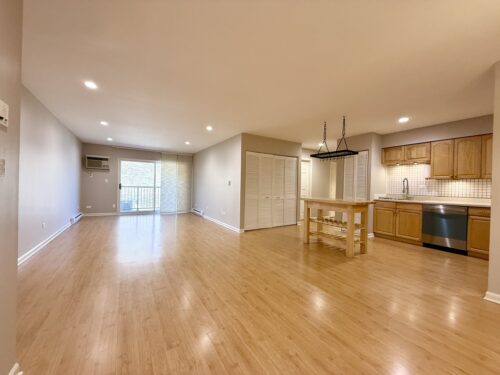 828 E Old Willow Road #216, Prospect Heights, IL