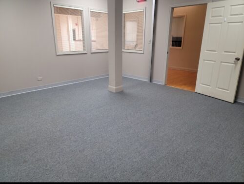 110 S Johnson Street #211, Woodstock, IL