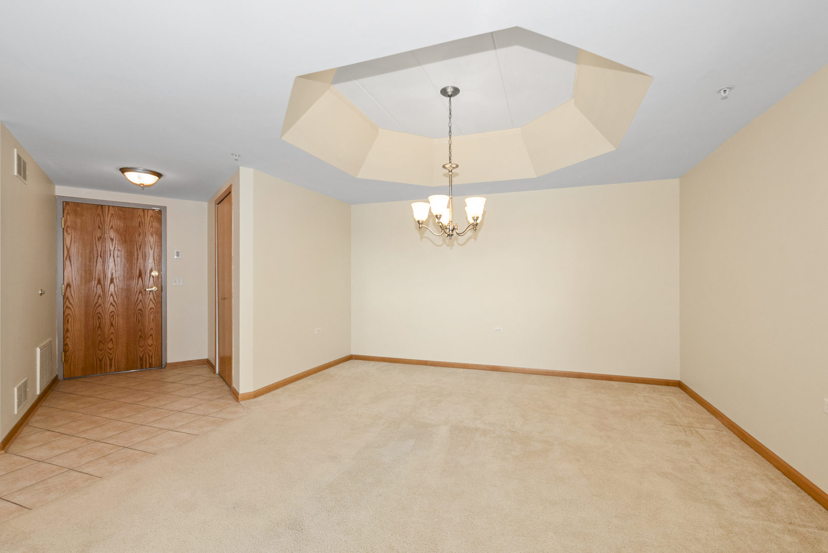 14130 Sheffield Drive #202, Homer Glen, IL