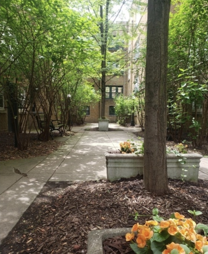 685 W Wrightwood Avenue #1S, Chicago, IL