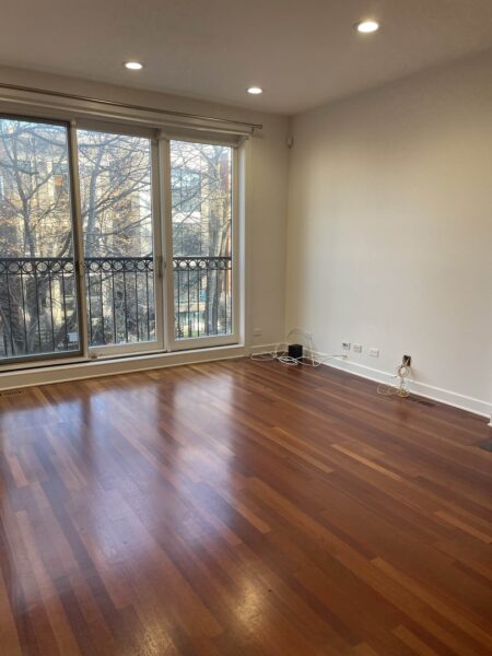 1024 N Honore Street #2, Chicago, IL