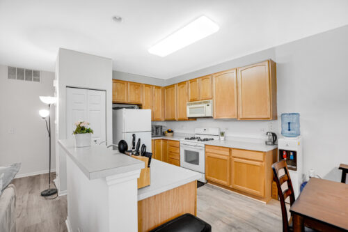 1877 CRENSHAW Circle #1877, Vernon Hills, IL