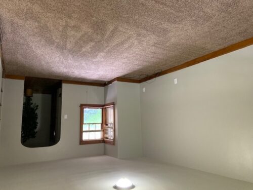 1728 E Locust Street #Y, Davenport, IA
