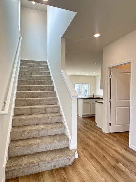 2320 Horseshoe Circles, Naperville, IL