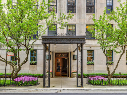 73 E Elm Street #4B, Chicago, IL