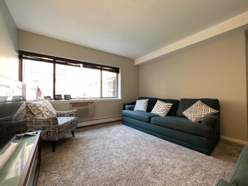 3620 N Pine Grove Avenue #204, Chicago, IL