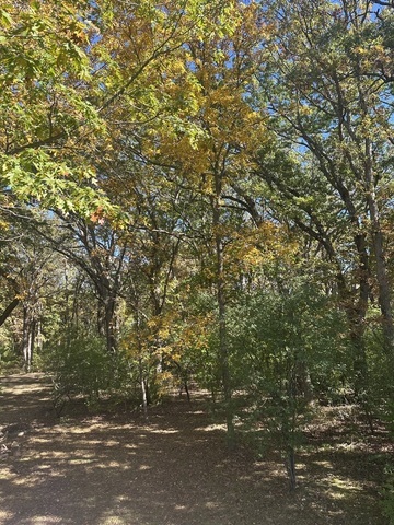 26220 N Midlothian Road, Mundelein, IL