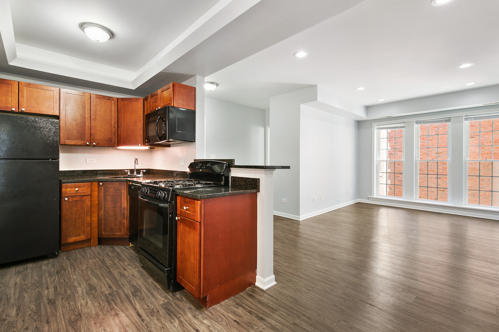 7730 N Ashland Avenue #C2, Chicago, IL