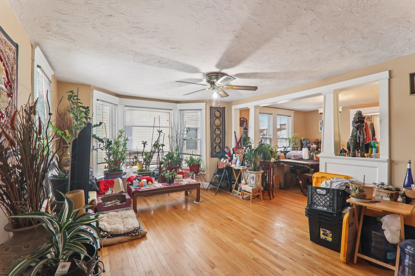 262 S WESTON Avenue, Elgin, IL