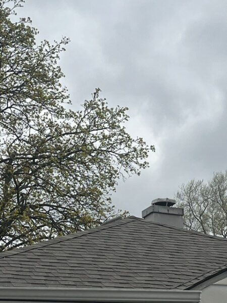 132 Geneva Avenue, Bellwood, IL