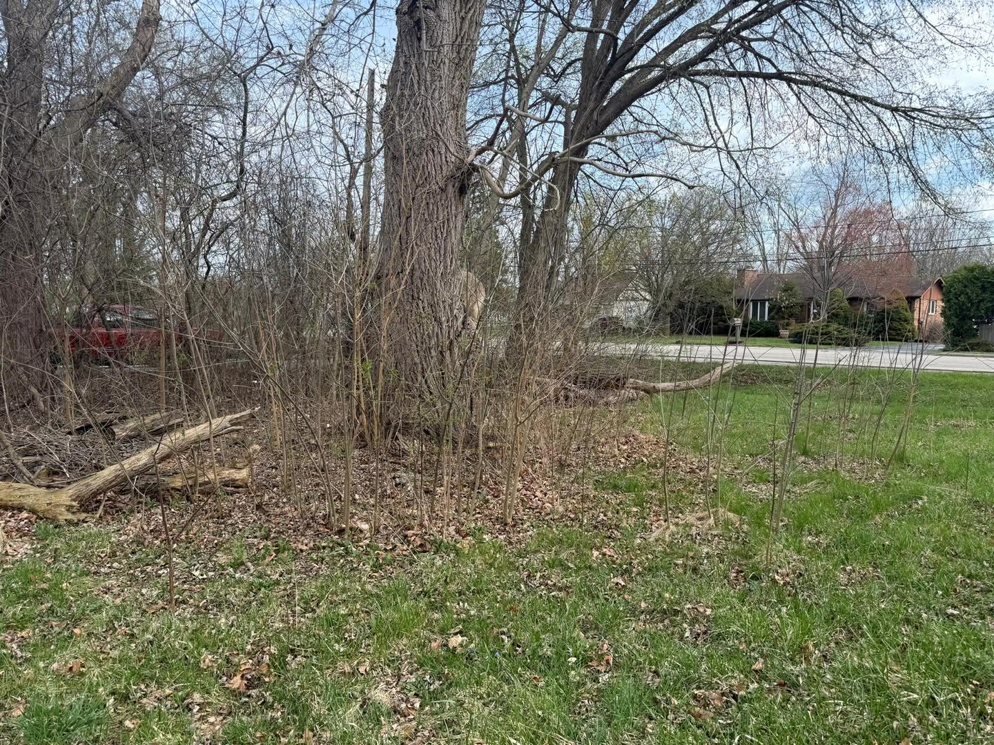 10802 W York House Road, Beach Park, IL