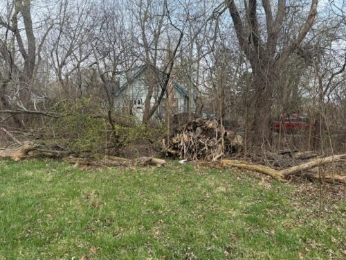 10802 W York House Road, Beach Park, IL