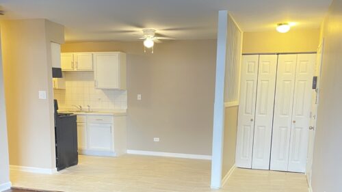 1035 Higgins QuarterS Drive #4-205, Hoffman Estates, IL