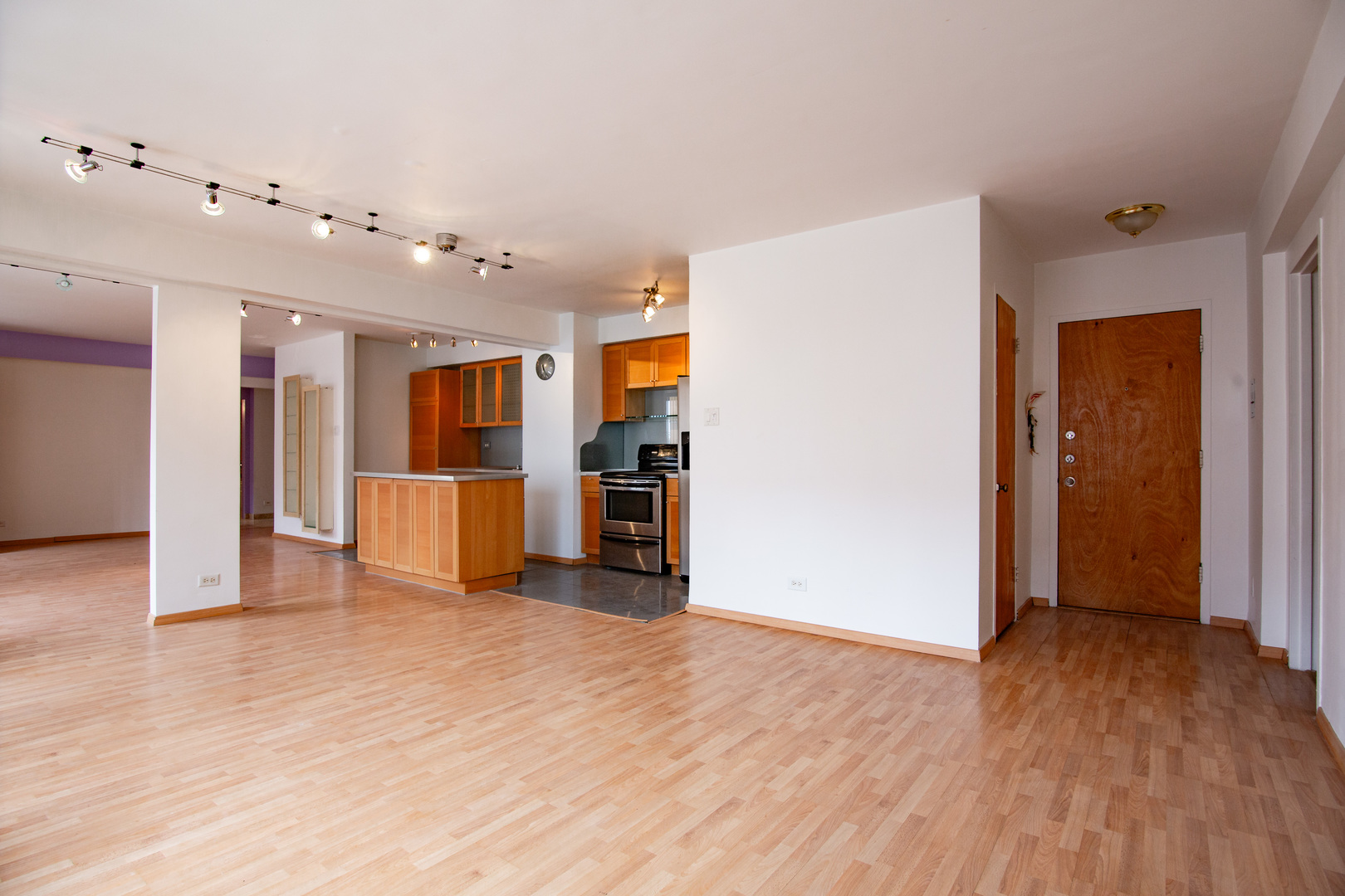 7355 S South Shore Drive #305, Chicago, IL