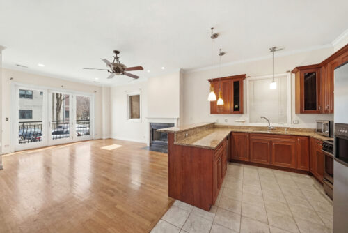 938 N Washtenaw Avenue #1, Chicago, IL