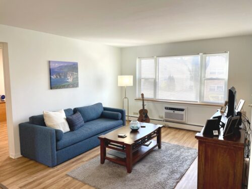 1539 Park Avenue #2n, River Forest, IL