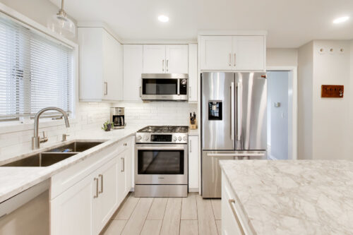 1107 S Hamlin Avenue, Park Ridge, IL