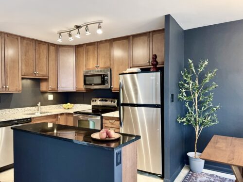 360 W Wellington Avenue #15D, Chicago, IL