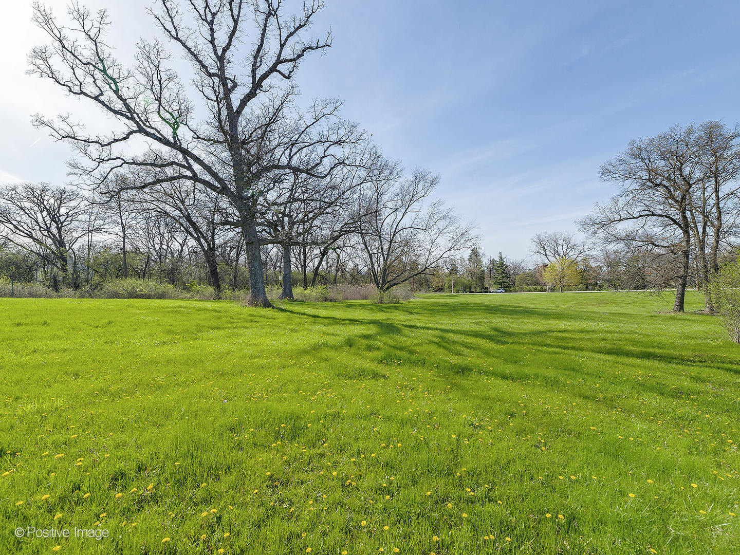 215 Oak Brook Road, Oak Brook, IL