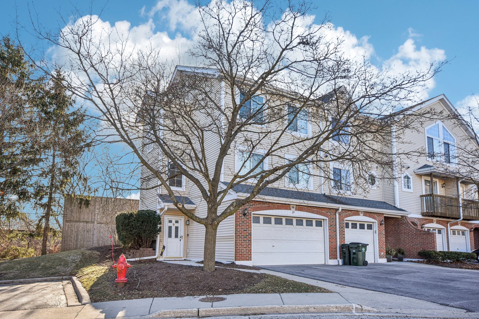 241 E Parallel Street #1A, Palatine, IL