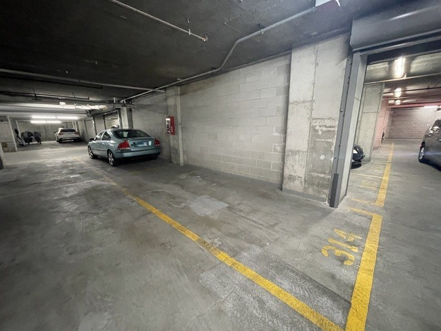 801 S Plymouth Court #P-314, Chicago, IL