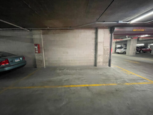 801 S Plymouth Court #P-314, Chicago, IL