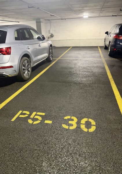 225 N Columbus Drive #P5-30, Chicago, IL