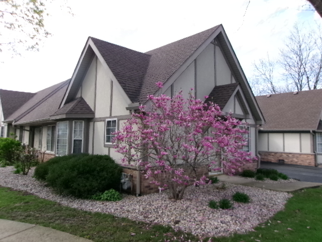 1785 Willow Circle Drive #1785, Crest Hill, IL