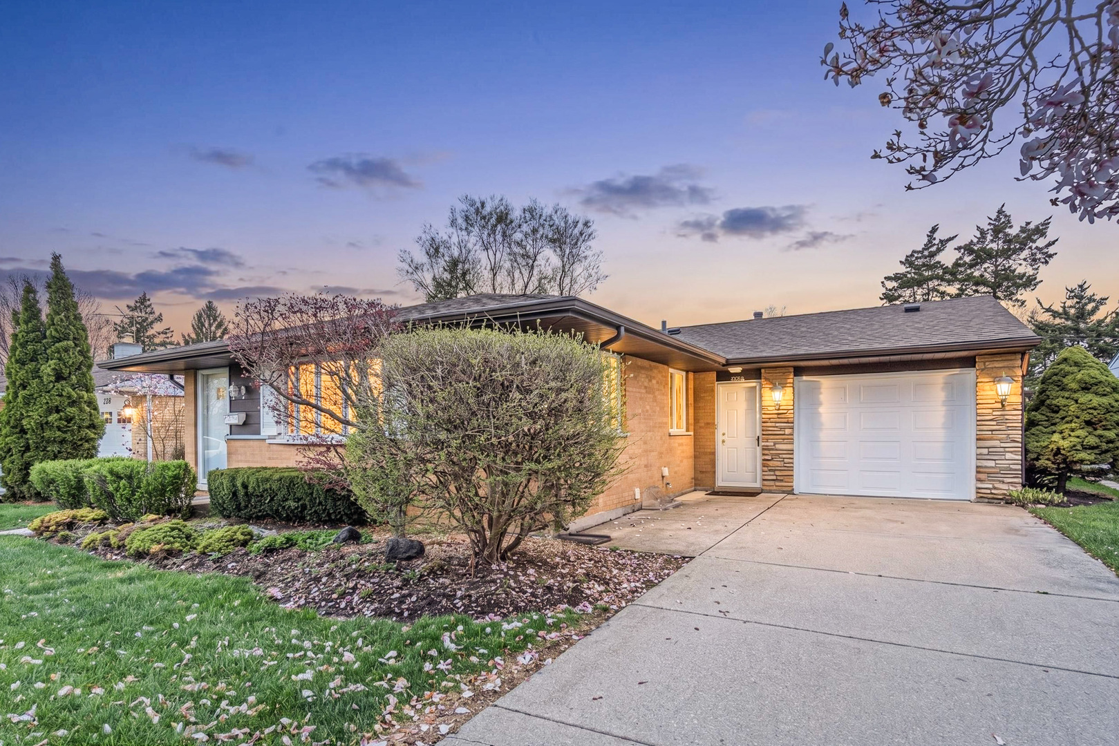650 Patricia Lane, Des Plaines, IL