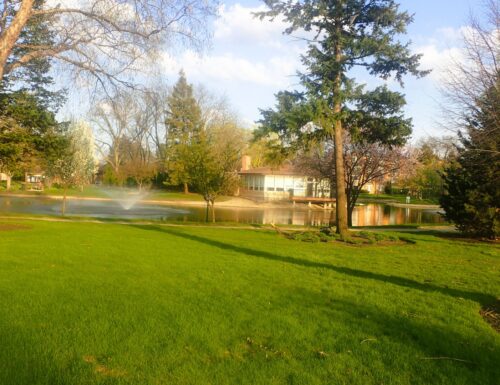 1127 S Old Wilke Road #101, Arlington Heights, IL