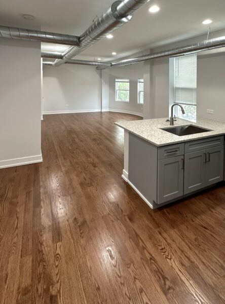 1444 W Erie Street #3B, Chicago, IL