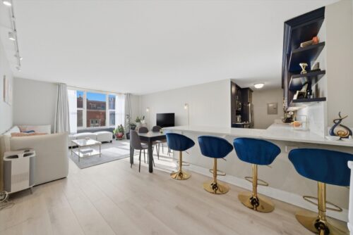 1325 N State Parkway #18D, Chicago, IL