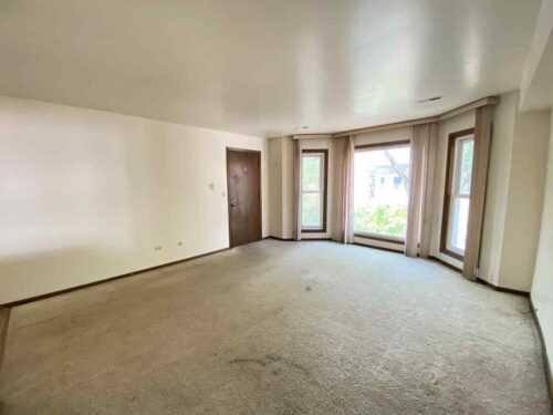 919 S Carpenter Street #3N, Chicago, IL