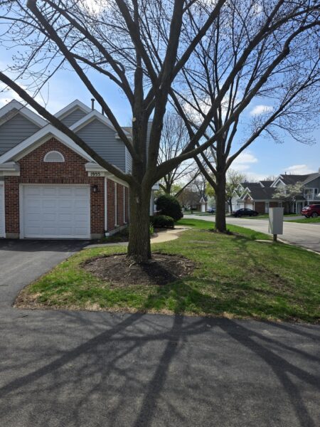 1955 N Stillwater Road, Arlington Heights, IL