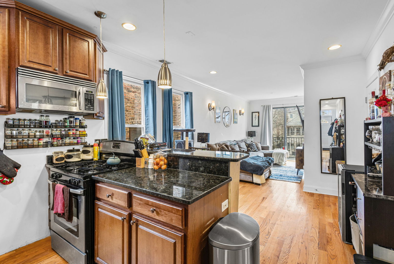 7341 N Honore Street, Chicago, IL