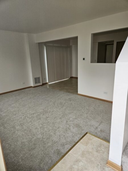 801 Serendipity Drive, Aurora, IL