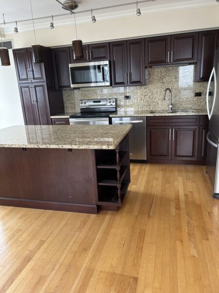 512 N McClurg Court #5501, Chicago, IL