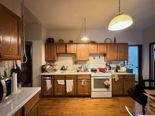 951 N Hoyne Avenue #3, Chicago, IL