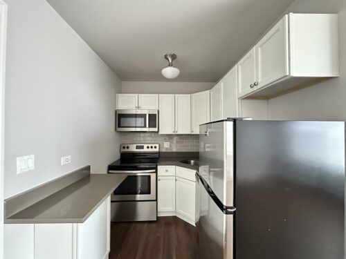 817 W Lakeside Place #409, Chicago, IL