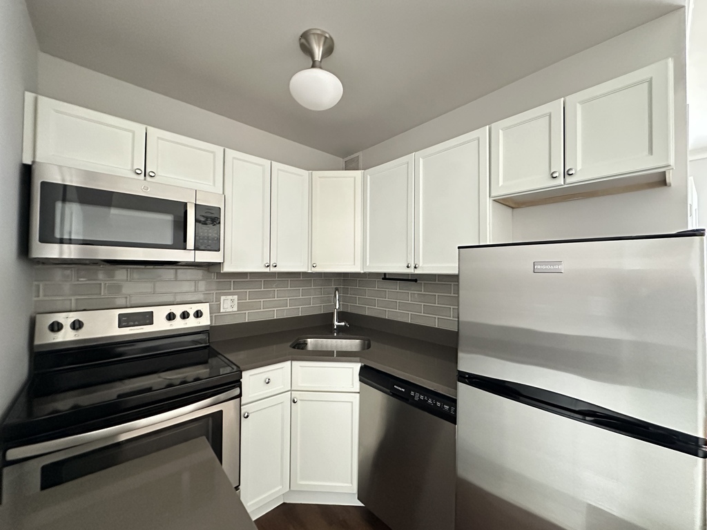 817 W Lakeside Place #409, Chicago, IL