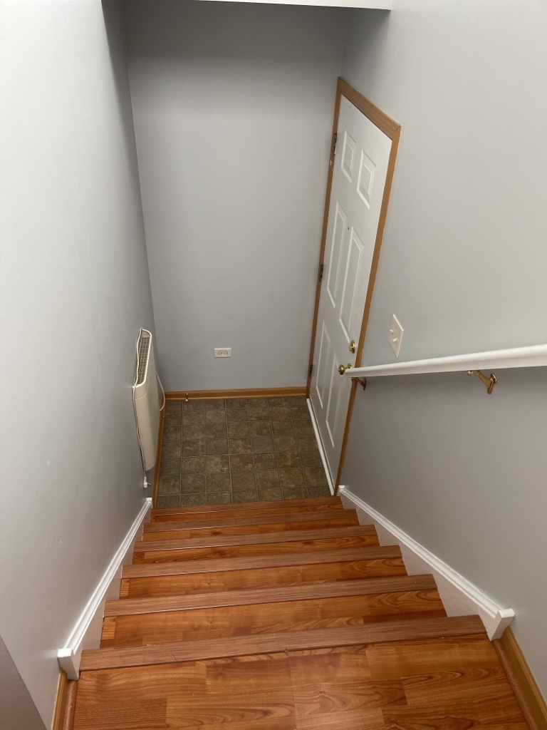 1517 Silverstone Drive #1517, Carpentersville, IL