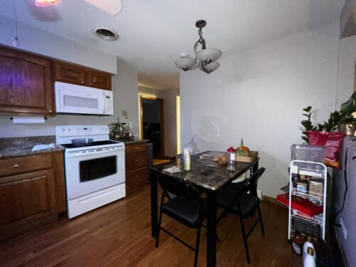 244 S Marion Street #A, Oak Park, IL