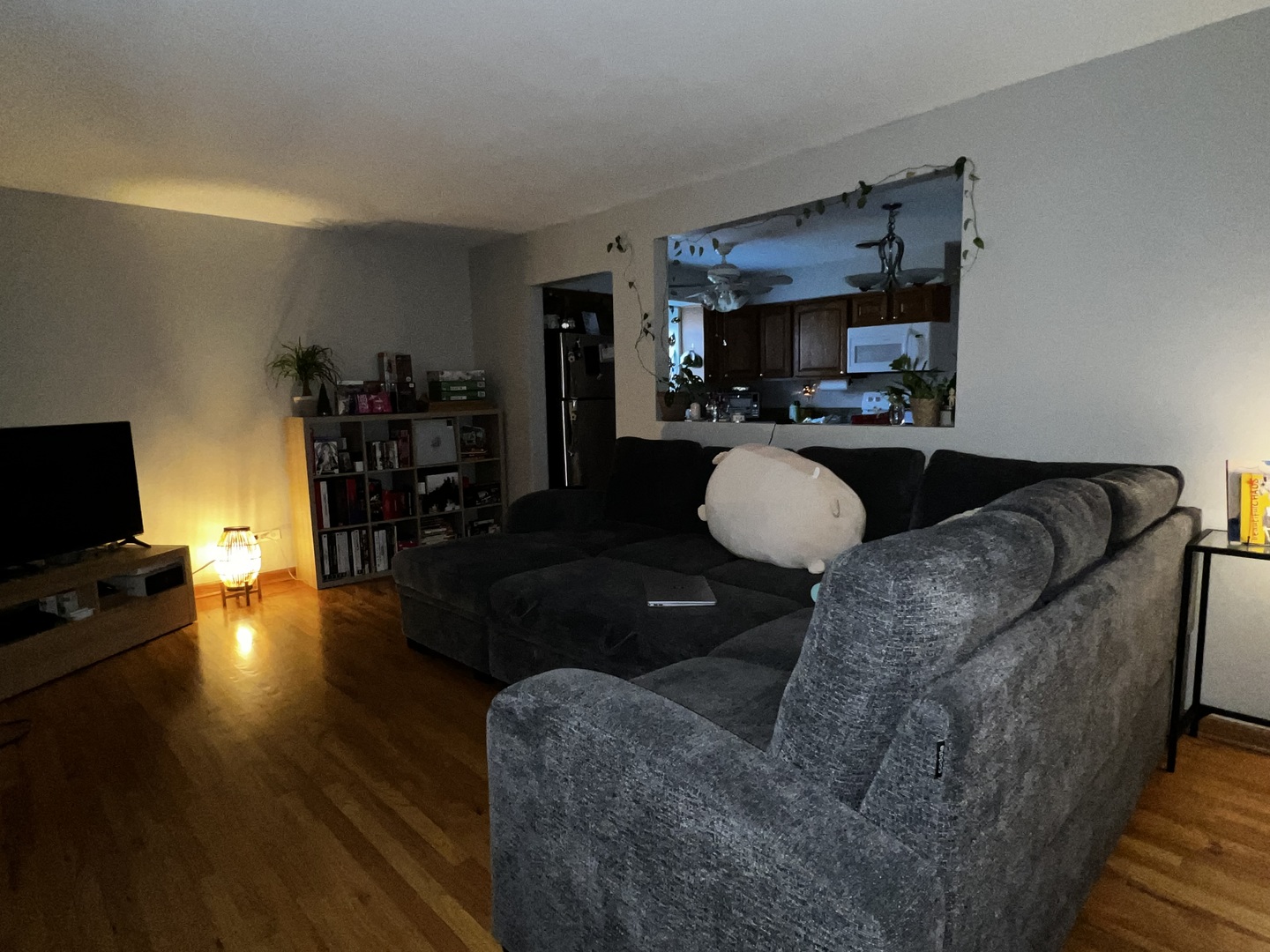 244 S Marion Street #A, Oak Park, IL