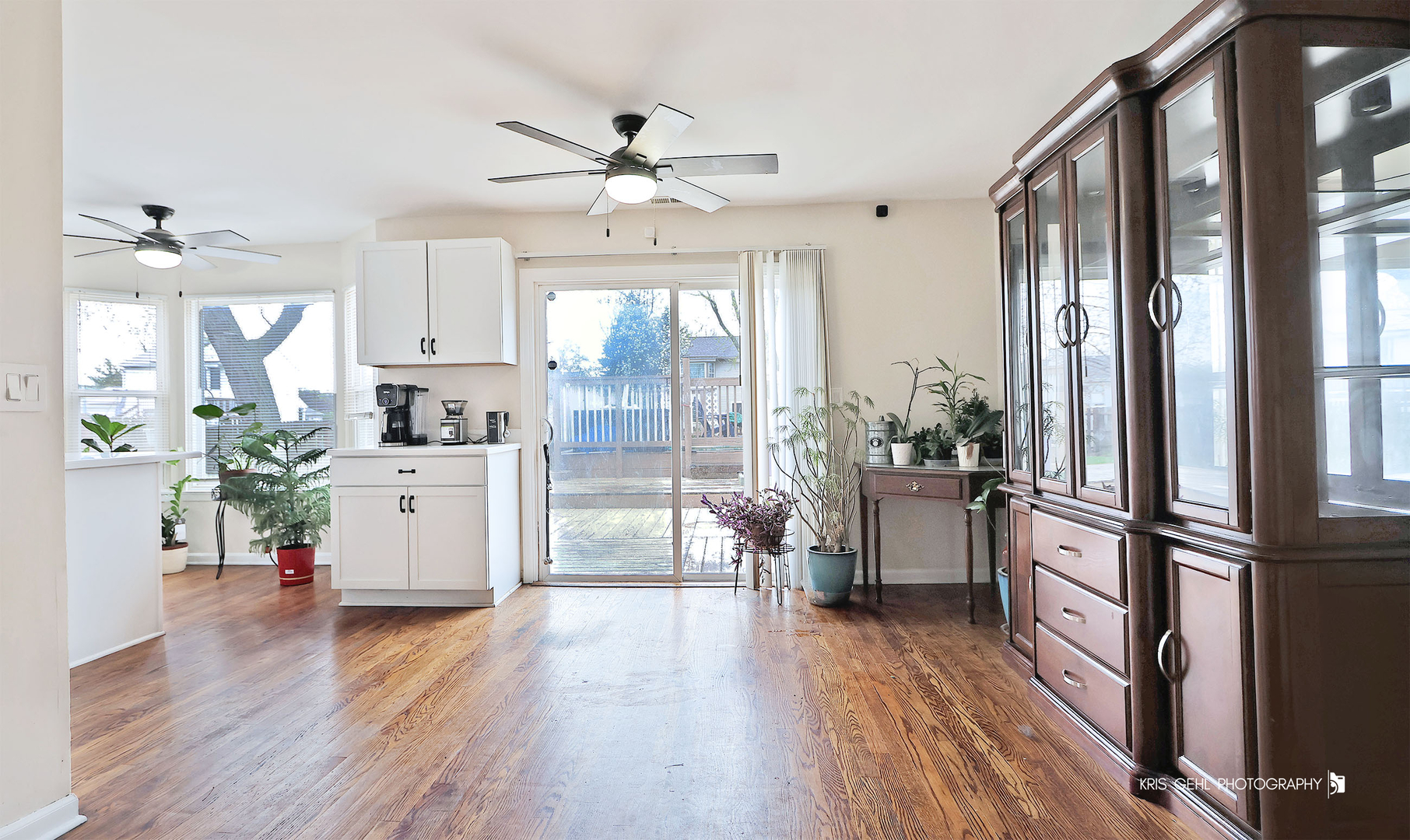 1006 Concord Drive, Island Lake, IL