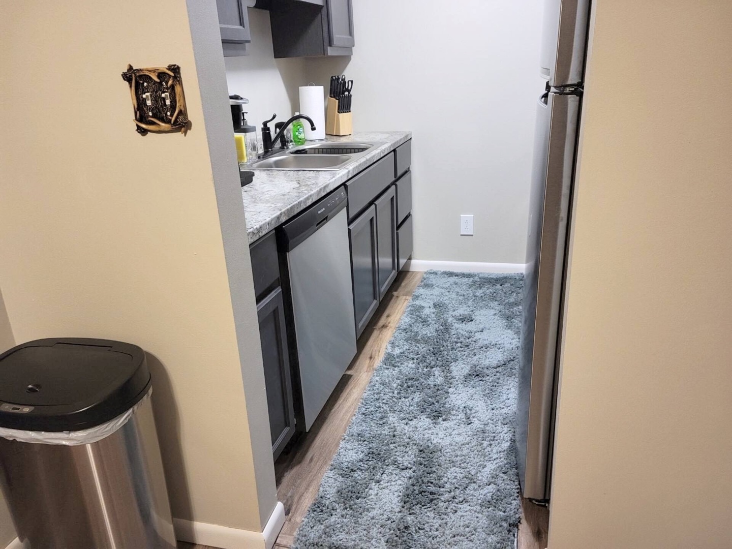 303 White Deer Run, Makanda, IL