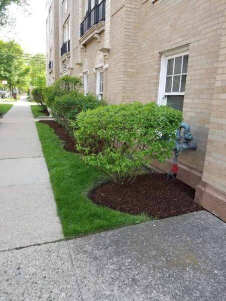 802 Elmwood Avenue #3E, Evanston, IL