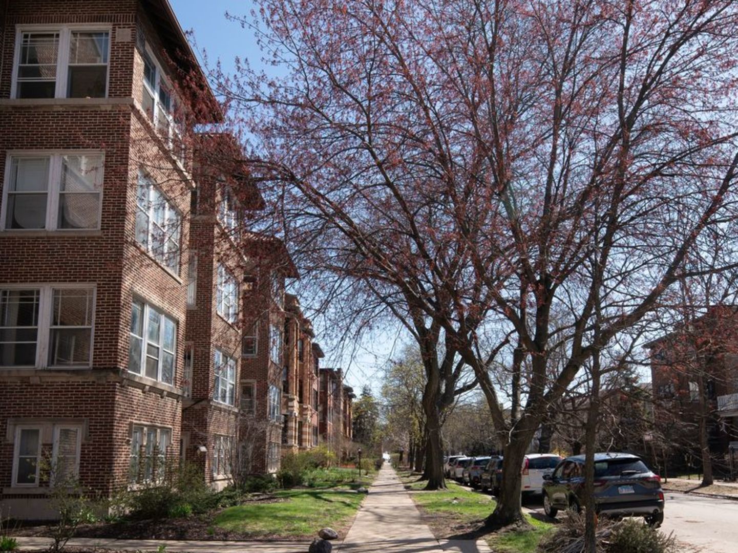 1260 W Columbia Avenue #2, Chicago, IL