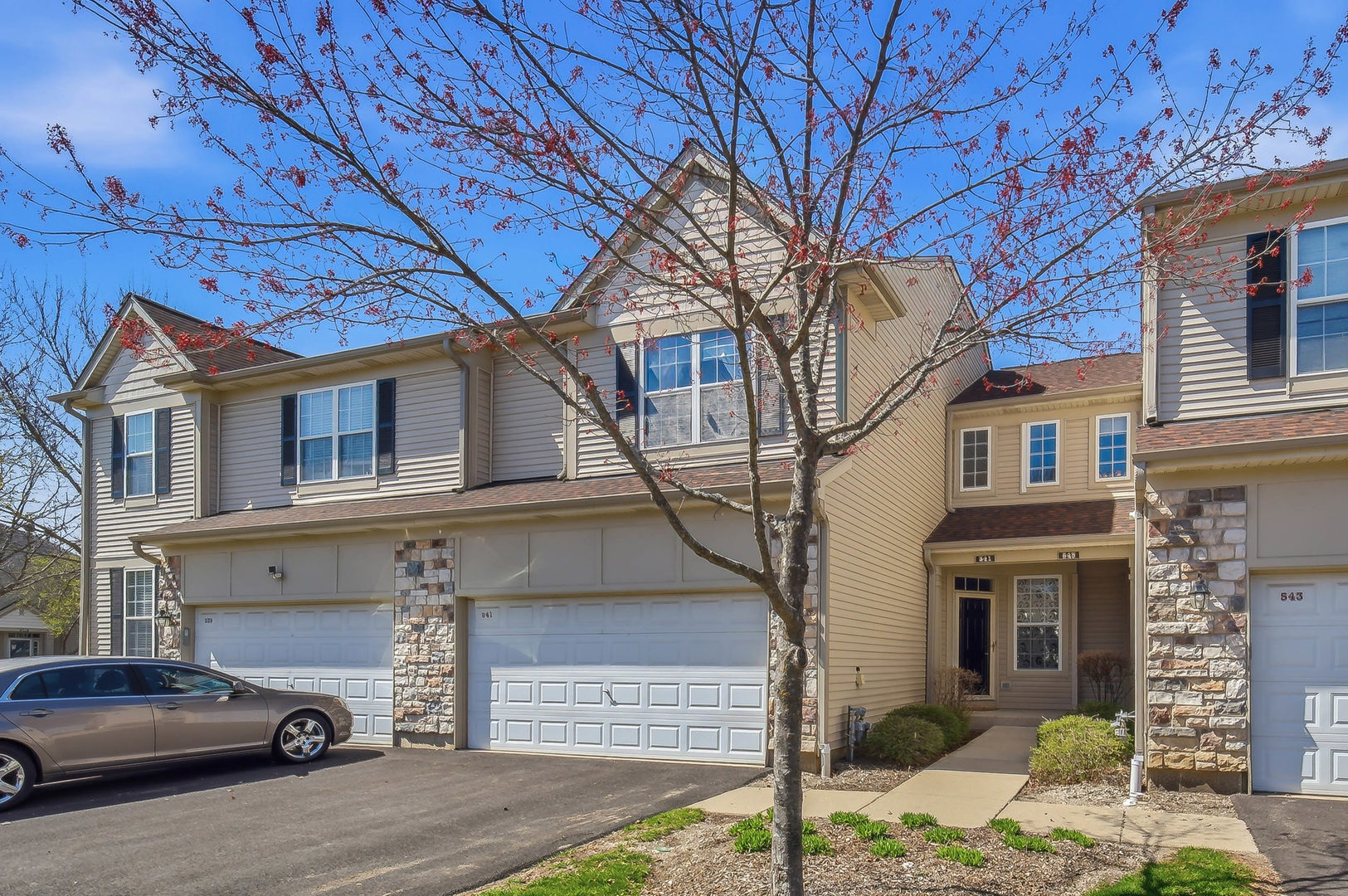 541 Shakespeare Drive, Grayslake, IL